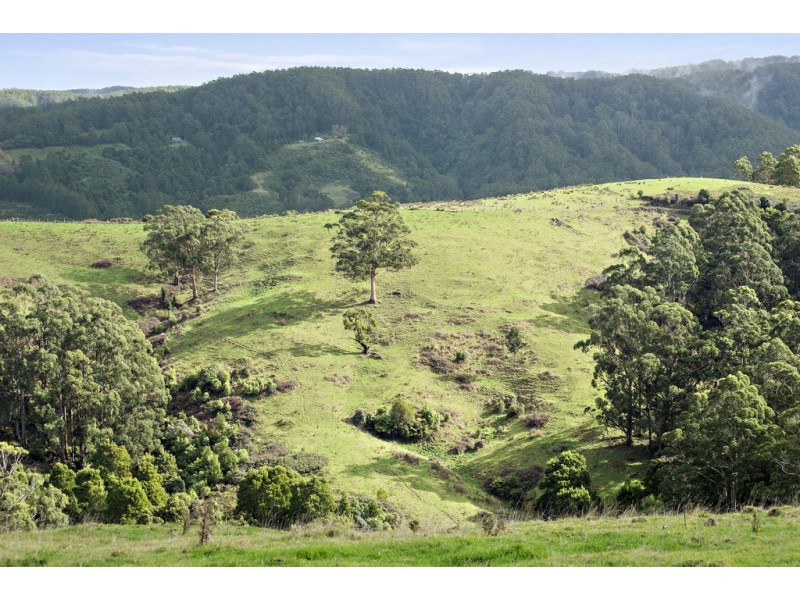 415 Tuxion Road, Apollo Bay VIC 3233