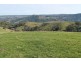 415 Tuxion Road, Apollo Bay VIC 3233