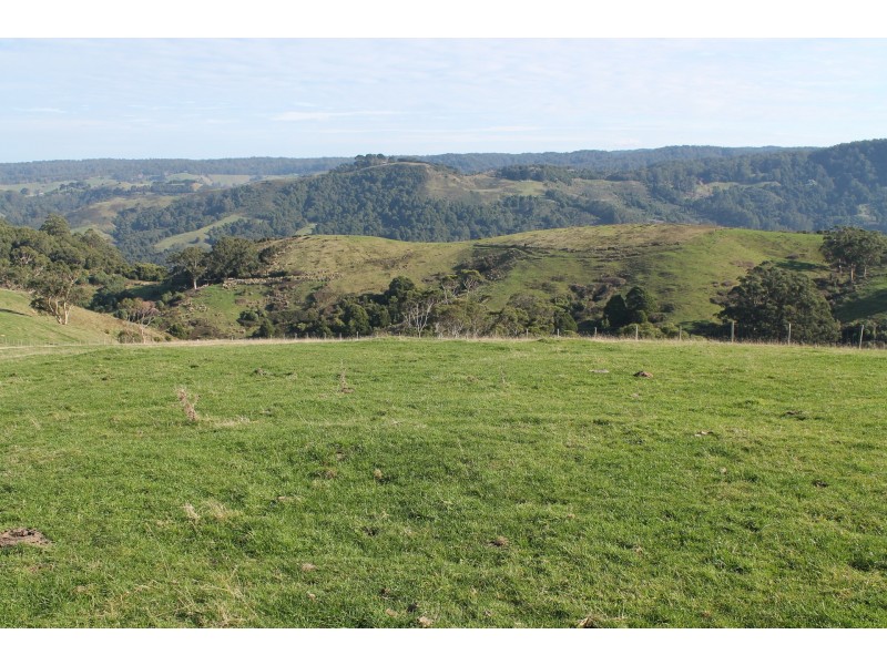 415 Tuxion Road, Apollo Bay VIC 3233
