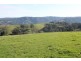 415 Tuxion Road, Apollo Bay VIC 3233