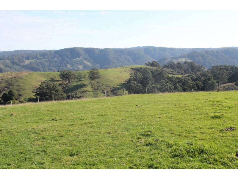 415 Tuxion Road, Apollo Bay VIC 3233