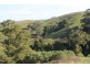 415 Tuxion Road, Apollo Bay VIC 3233