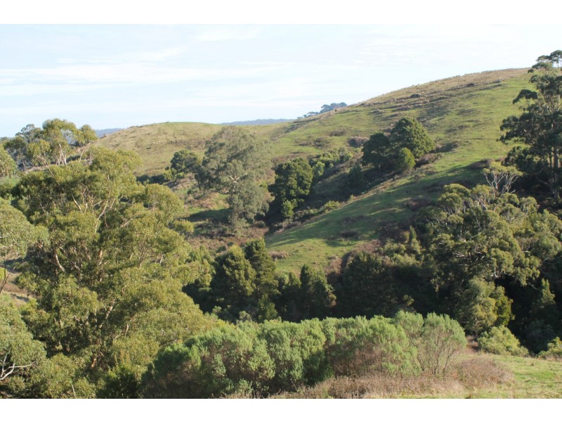 415 Tuxion Road, Apollo Bay VIC 3233