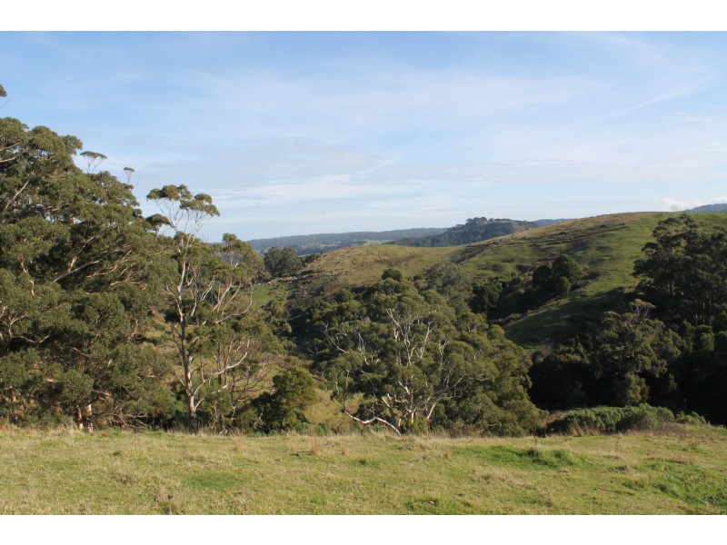 415 Tuxion Road, Apollo Bay VIC 3233