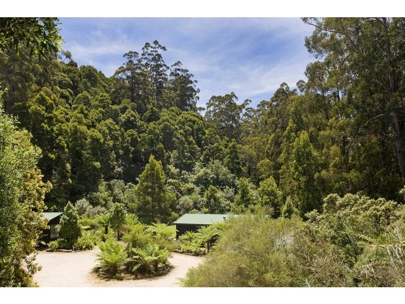 935 Barham River Road, Apollo Bay VIC 3233