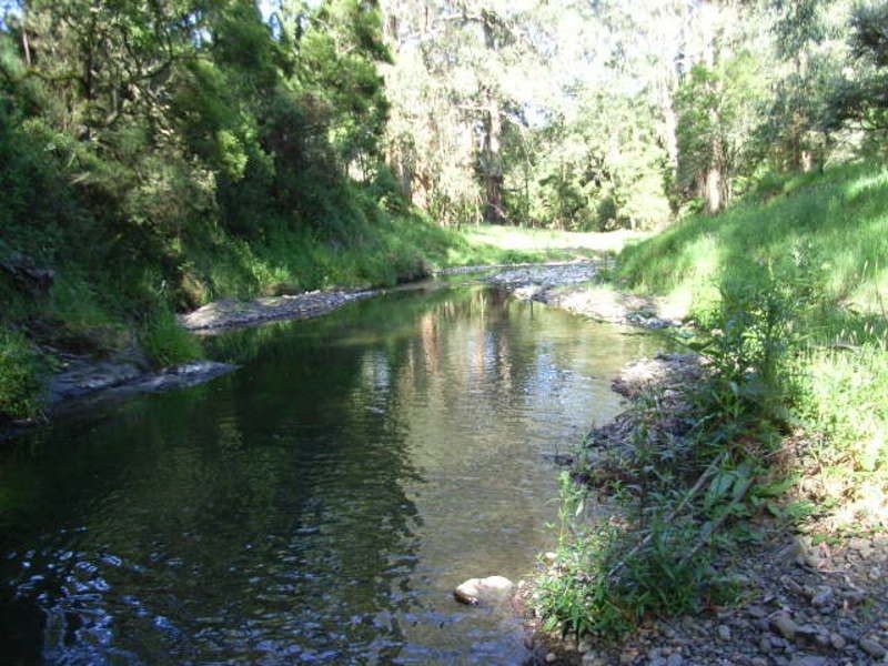 935 Barham River Road, Apollo Bay VIC 3233