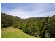935 Barham River Road, Apollo Bay VIC 3233