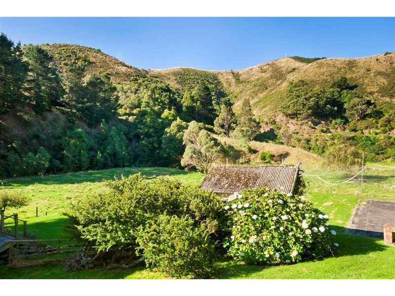 95 Wild Dog Road, Apollo Bay VIC 3233