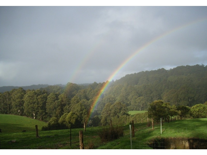 3480 Colac Lavers Hill Road, Ferguson VIC 3237