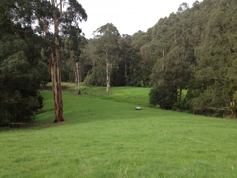 3480 Colac Lavers Hill Road, Ferguson VIC 3237