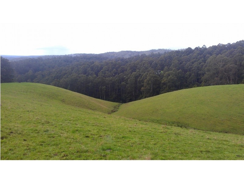 3480 Colac Lavers Hill Road, Ferguson VIC 3237