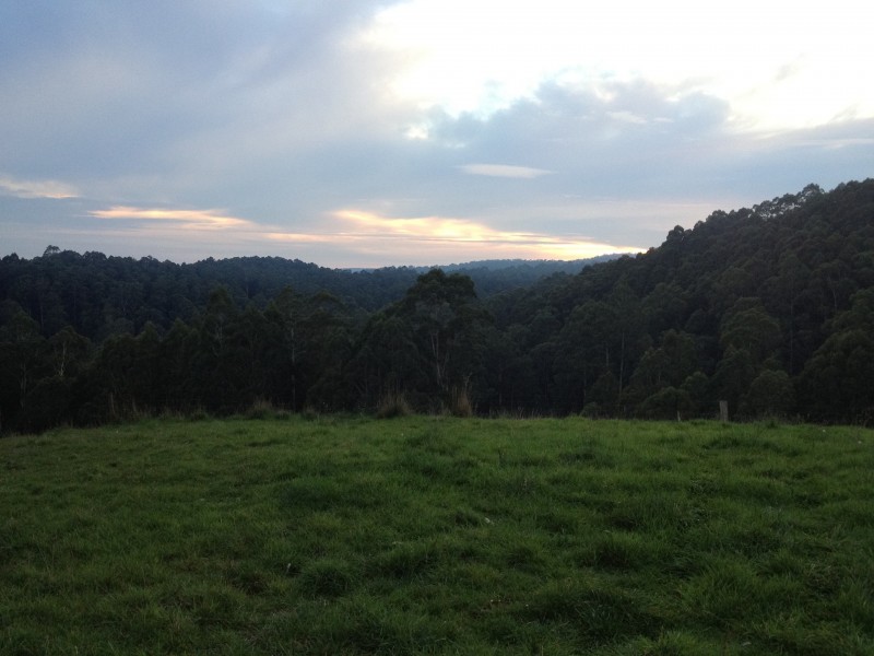 3480 Colac Lavers Hill Road, Ferguson VIC 3237