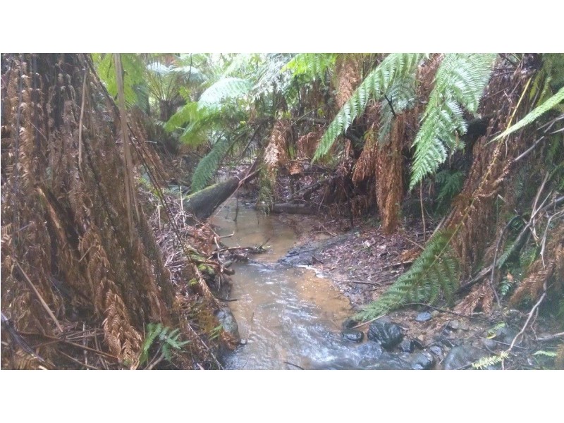 3480 Colac Lavers Hill Road, Ferguson VIC 3237