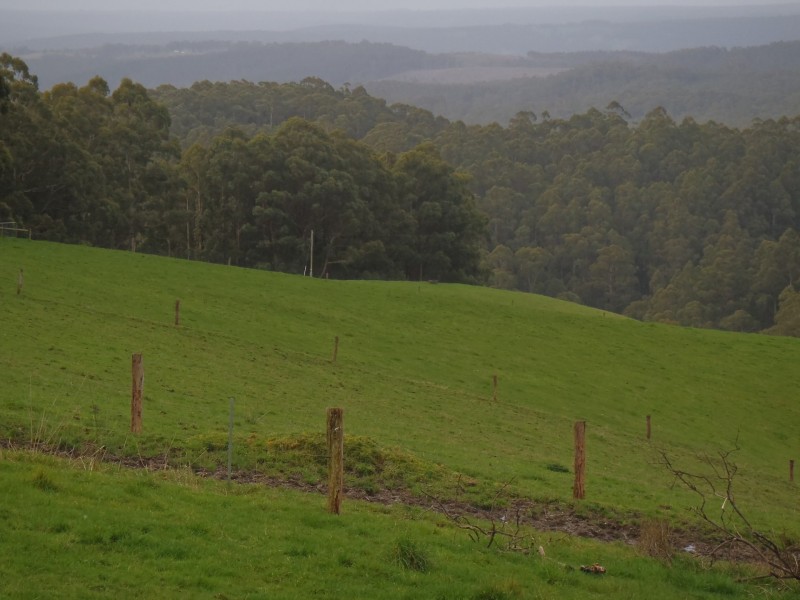 3480 Colac Lavers Hill Road, Ferguson VIC 3237