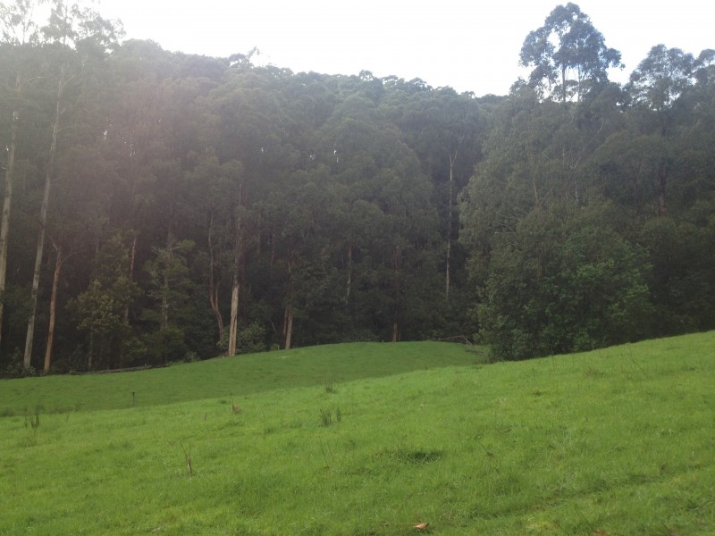 3480 Colac Lavers Hill Road, Ferguson VIC 3237