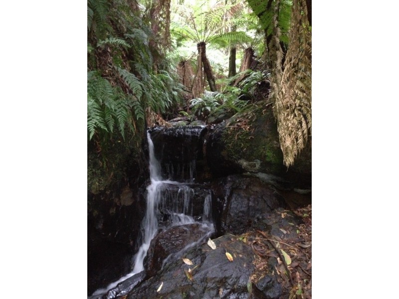 3480 Colac Lavers Hill Road, Ferguson VIC 3237