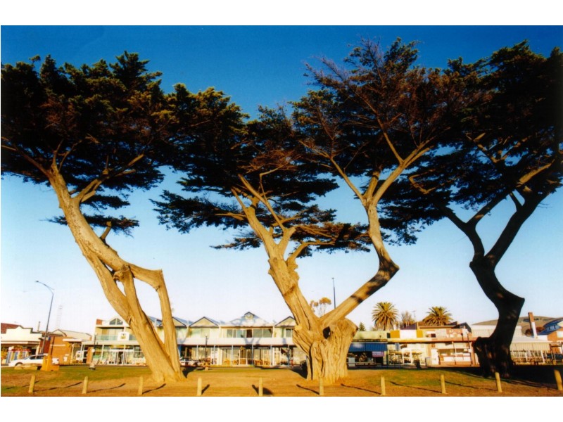 151 Great Ocean Road, Apollo Bay VIC 3233