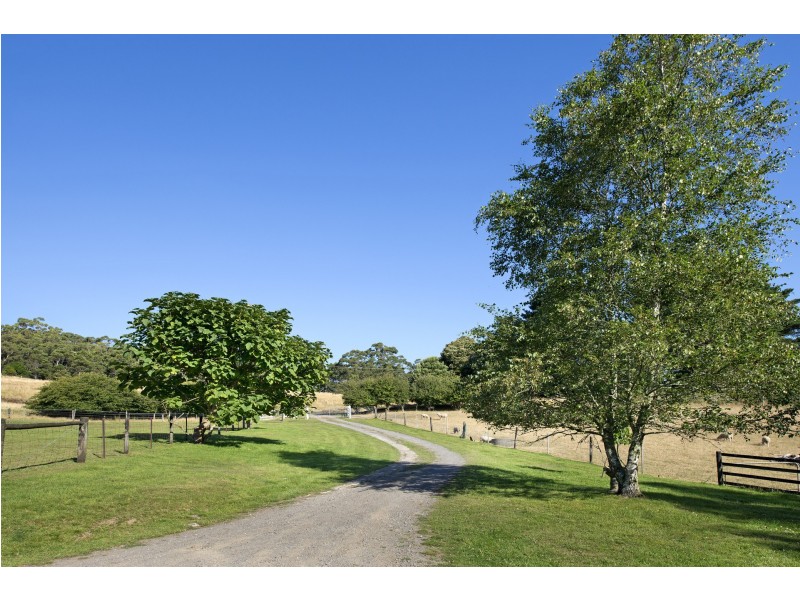 695 Skenes Creek Road, Skenes Creek VIC 3233