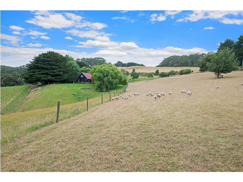 695 Skenes Creek Road, Skenes Creek VIC 3233