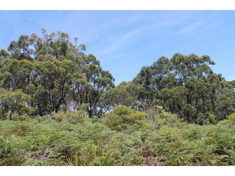 520 Hordern Vale Road, Hordern Vale VIC 3238