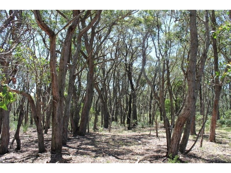 520 Hordern Vale Road, Hordern Vale VIC 3238