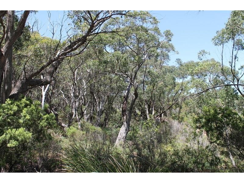 520 Hordern Vale Road, Hordern Vale VIC 3238