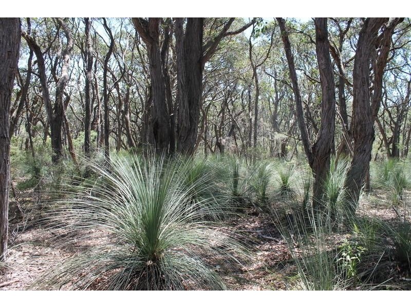 520 Hordern Vale Road, Hordern Vale VIC 3238