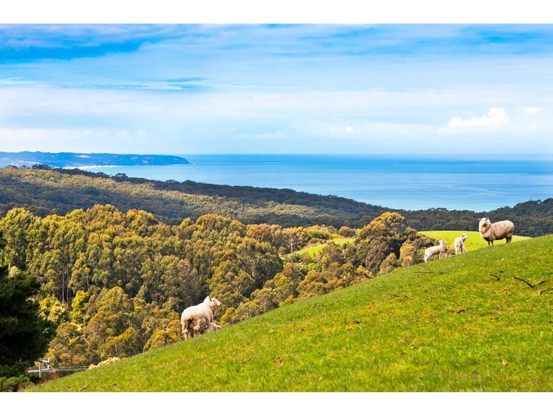 45 Hornes Road, Yuulong VIC 3237