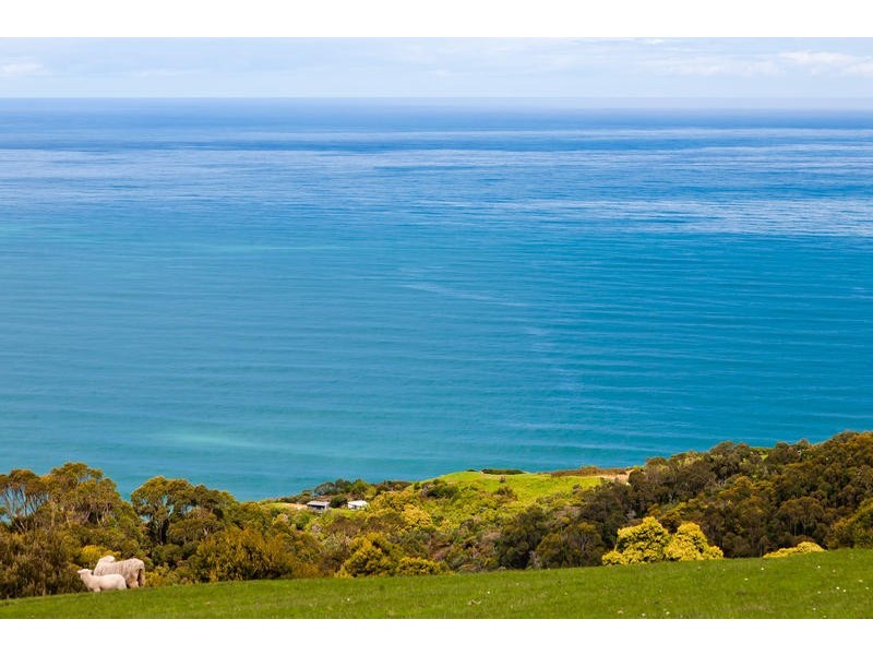 45 Hornes Road, Yuulong VIC 3237