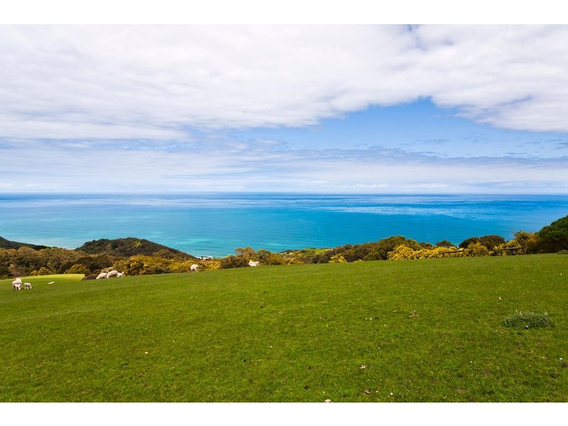 45 Hornes Road, Yuulong VIC 3237