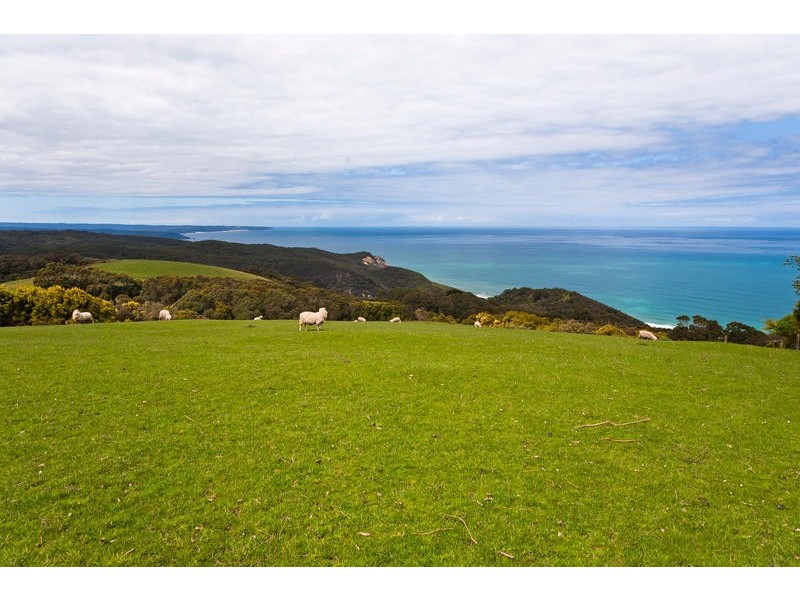 45 Hornes Road, Yuulong VIC 3237