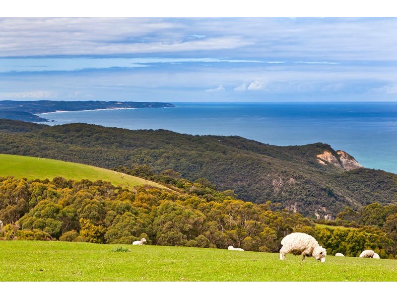 45 Hornes Road, Yuulong VIC 3237