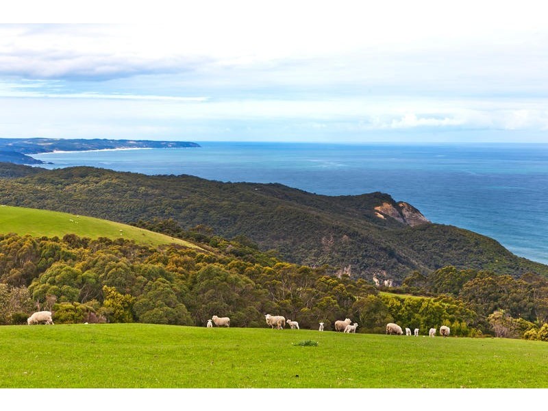 45 Hornes Road, Yuulong VIC 3237