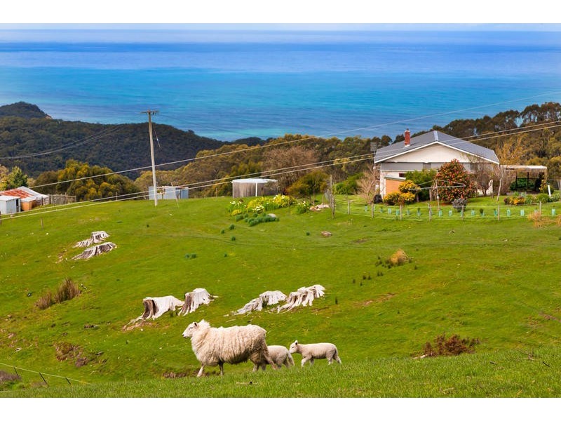 45 Old Iluka Access, Yuulong VIC 3237