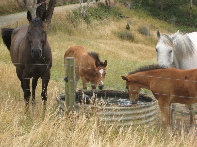 45 Old Iluka Access, Yuulong VIC 3237