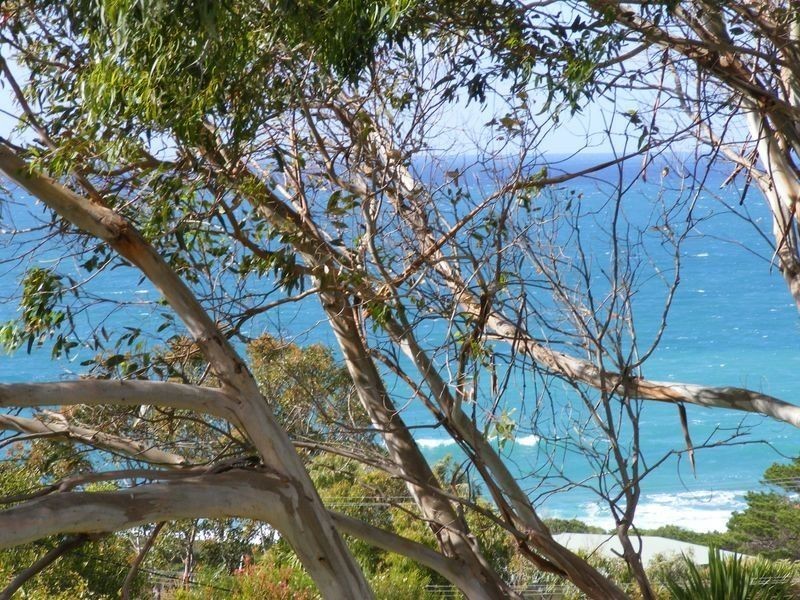 Unit 3/27 Vista Avenue, Skenes Creek VIC 3233