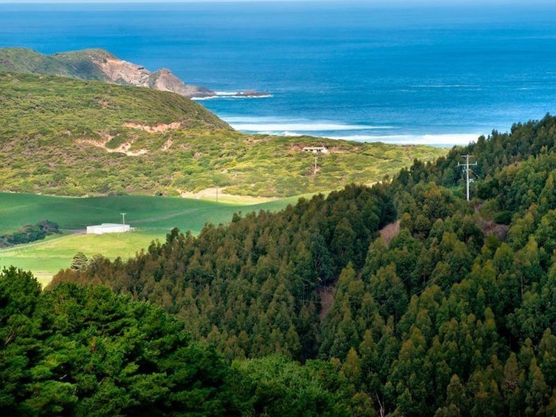 575 Blue Johanna Road, Johanna VIC 3238