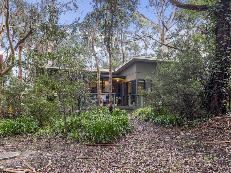 37 Old Coach Road, Skenes Creek VIC 3233