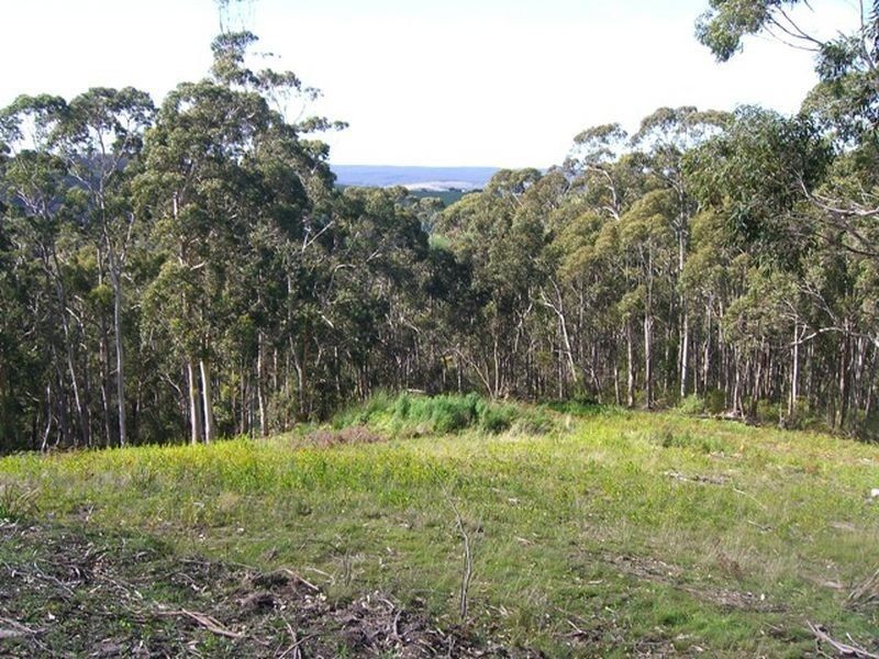 3410 Great Ocean Road, Glenaire VIC 3238
