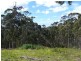 3410 Great Ocean Road, Glenaire VIC 3238