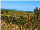 640 Great Ocean Road, Marengo VIC 3233