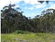 3410 Great Ocean Road, Glenaire VIC 3238