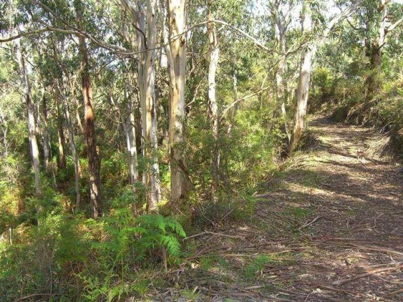 3410 Great Ocean Road, Glenaire VIC 3238