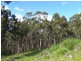 3410 Great Ocean Road, Glenaire VIC 3238
