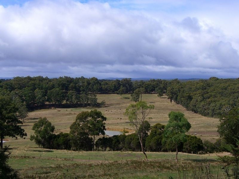 353 Kawarren East Road, Kawarren VIC 3249