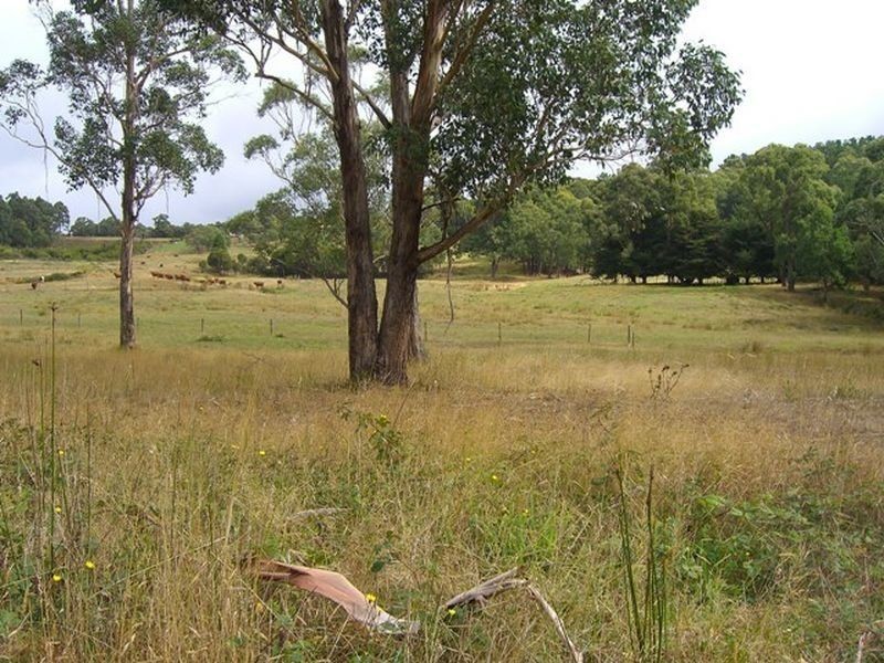 353 Kawarren East Road, Kawarren VIC 3249