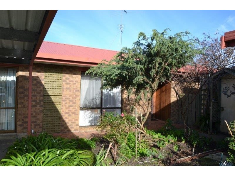 3/25 Thomson Street, Apollo Bay VIC 3233