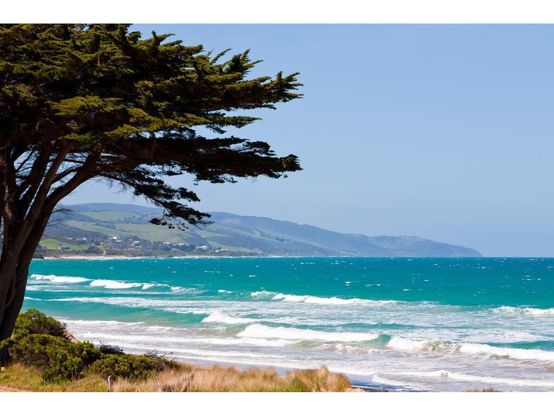 3/273 Great Ocean Road, Apollo Bay VIC 3233