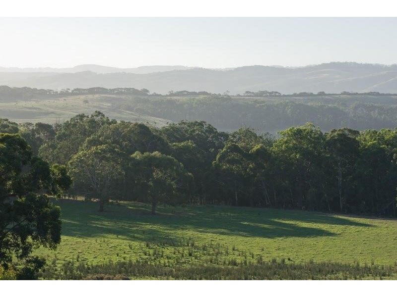 2/615 Hordern Vale Road (Cape Otway), Apollo Bay VIC 3233