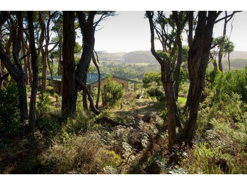 2/615 Hordern Vale Road (Cape Otway), Apollo Bay VIC 3233